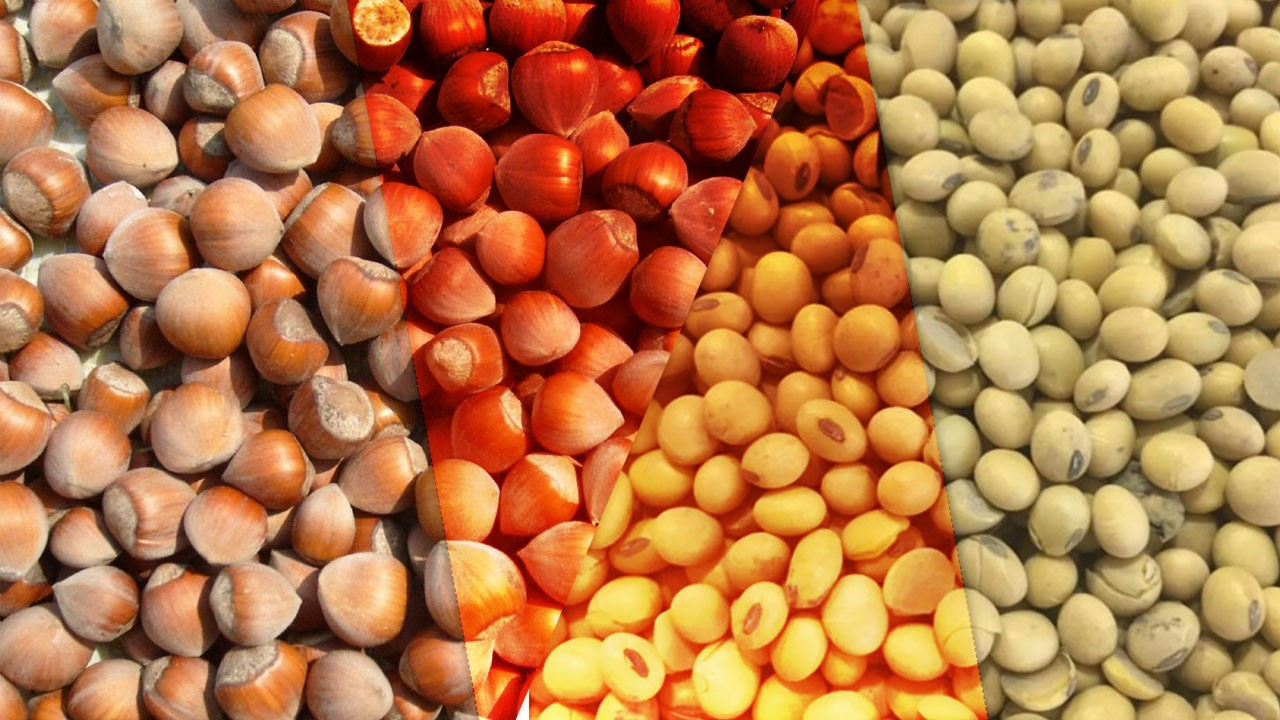 Türkiye Tarım İhracatında Düşüş: 11 Ayda 24.79 Milyar Dolar