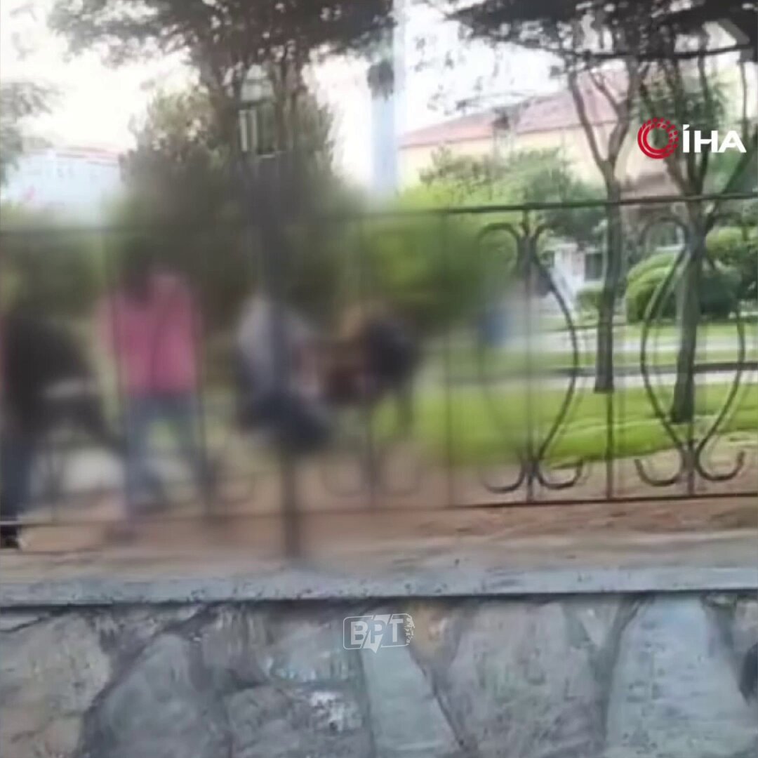 İstanbul'da Parkta Çocuklar Arası Kavga: Olay Yerinden İlk Görüntüler