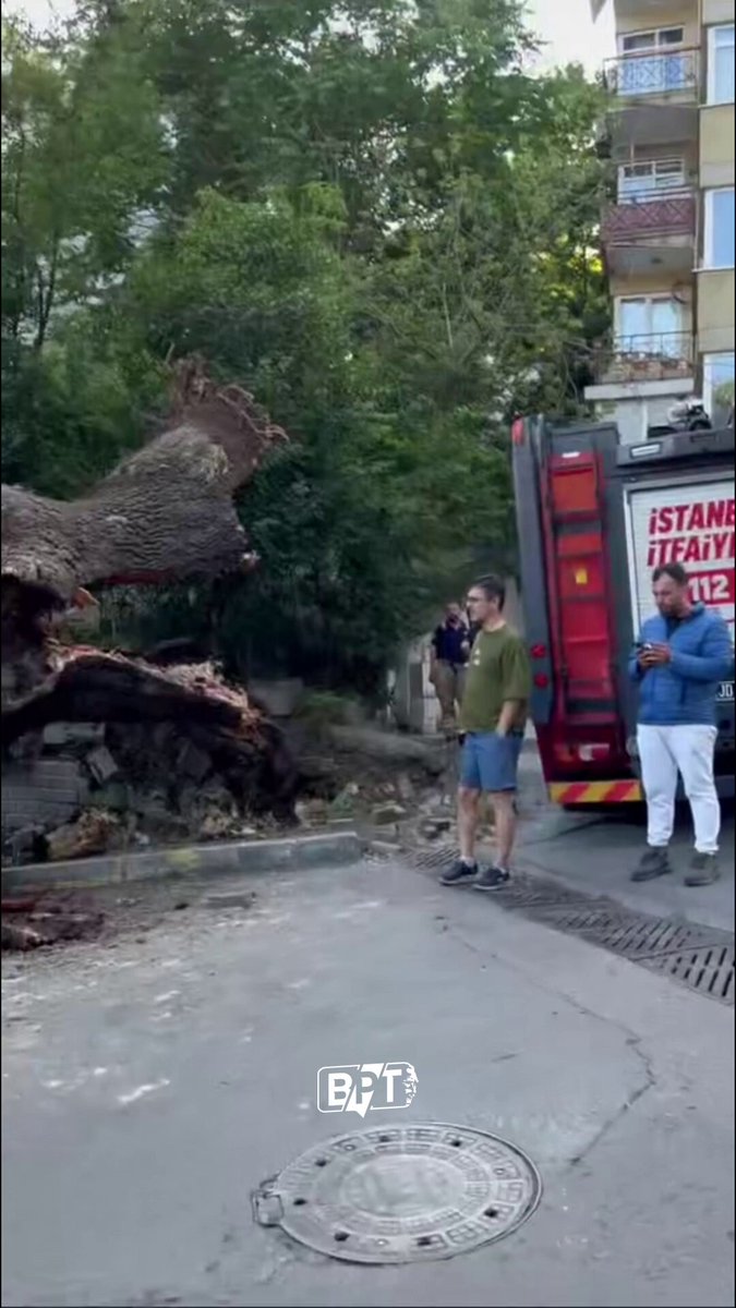 İstanbul'da 150 Yıllık Ağaç Park Halindeki Araçların Üzerine Devrildi
