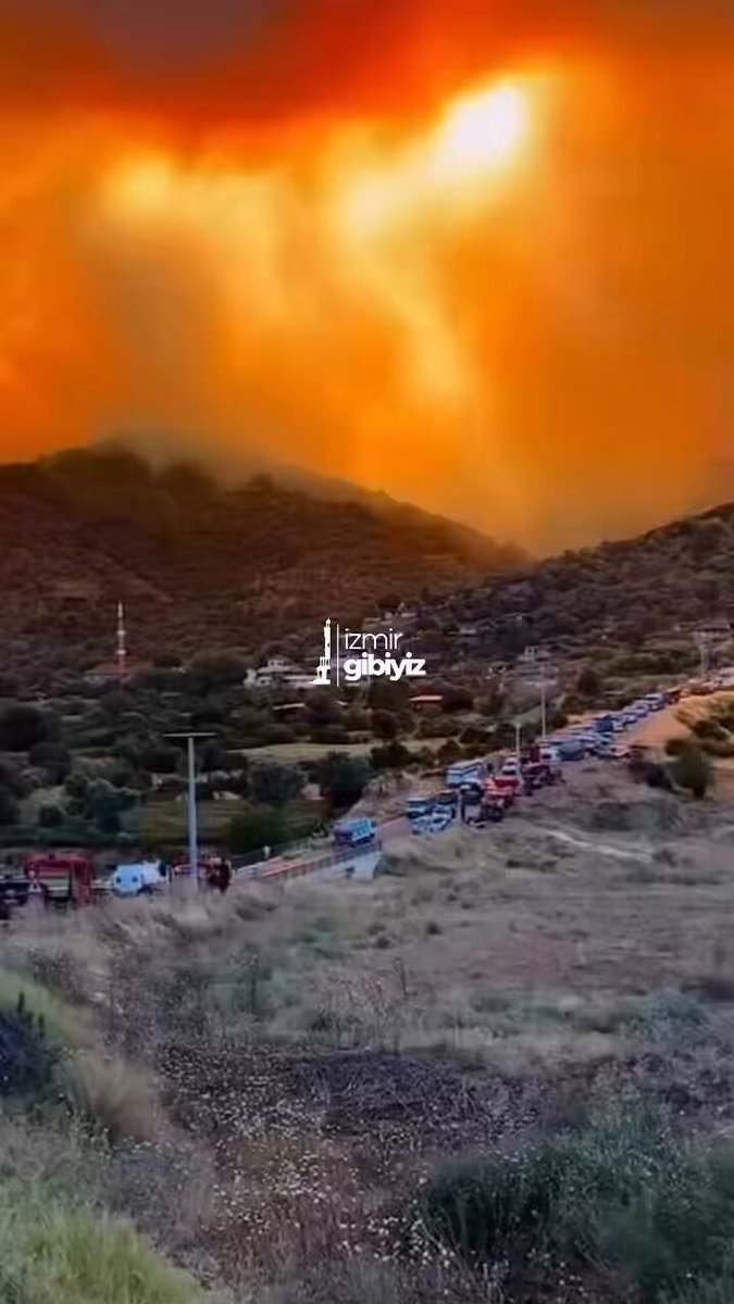 Ödemiş'te Çıkan Yangın Kontrol Altına Alındı: Zarar Tespiti Başladı