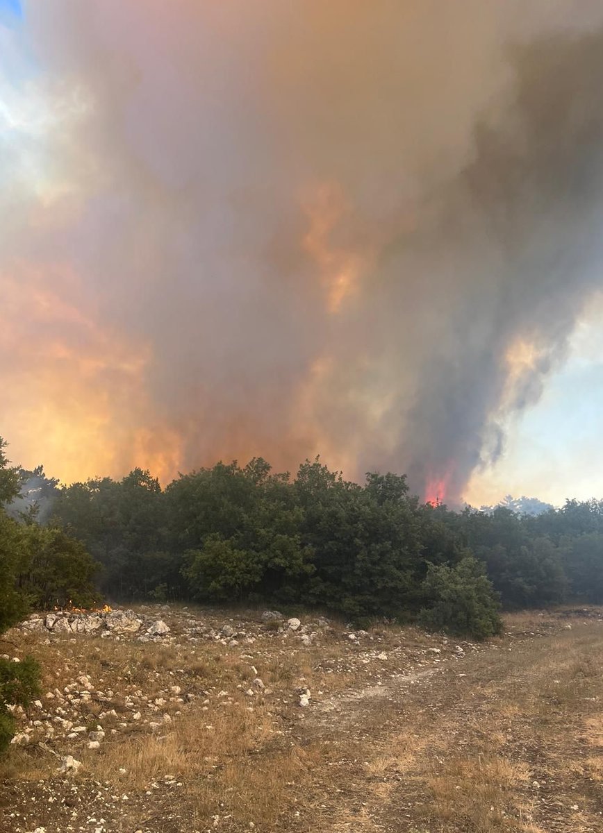 Eskişehir Seyitgazi'de Orman Yangını Çıktı