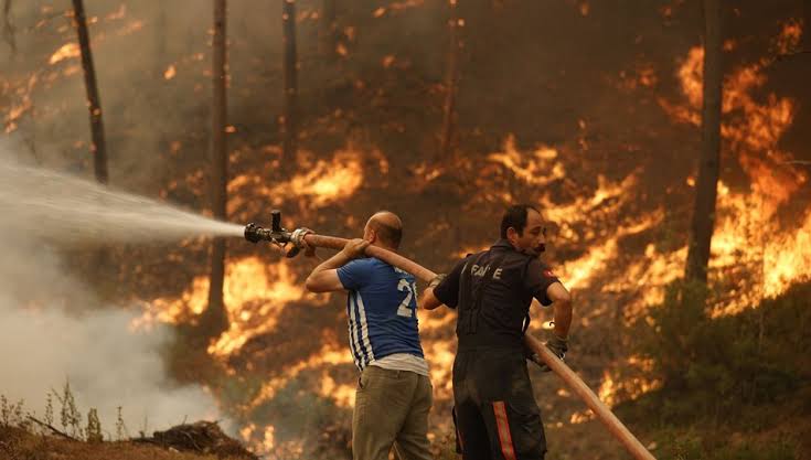 Türkiye'de 12 İlde Orman Yangınları: 44 Gözaltı, 10 Tutuklama