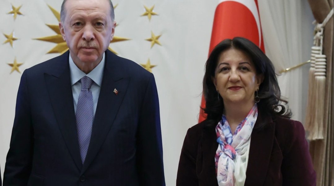 Pervin Buldan, Cumhurbaşkanı Erdoğan ile Görüşerek Teşekkür Etti