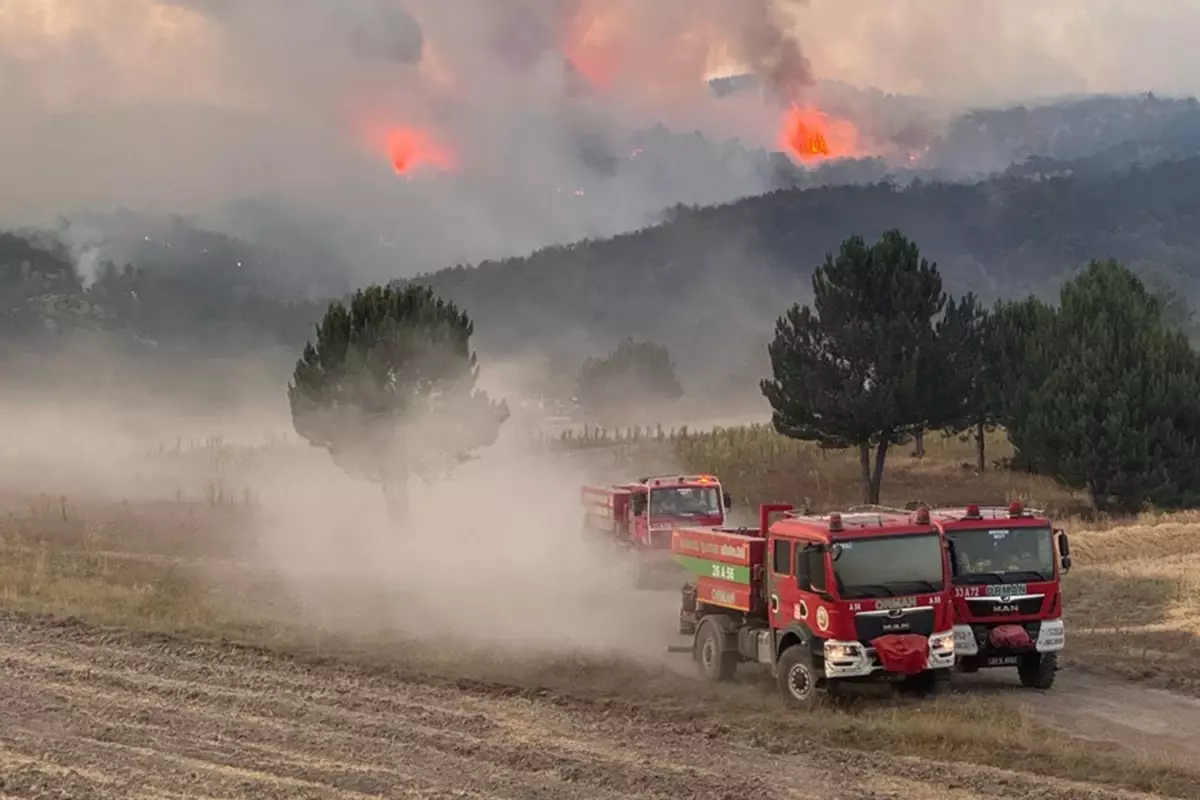 Türkiye'de Orman Yangınları Artıyor: İzmir ve Bilecik Afet Bölgesi İlan Edildi