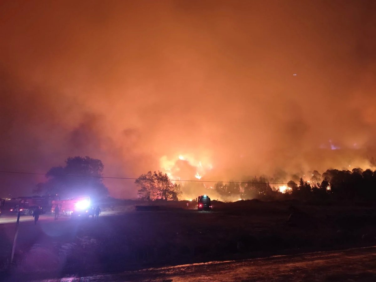 Bursa'da Orman Yangını: Müdahale Çalışmaları Sürüyor!