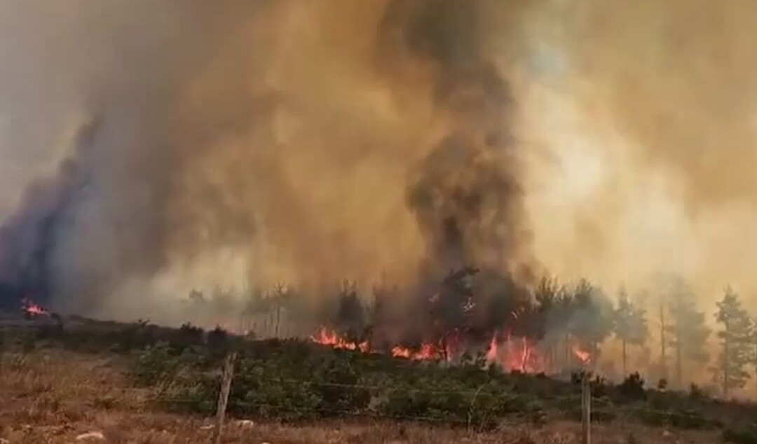 Çanakkale'de Orman Yangını Kontrol Altına Alındı