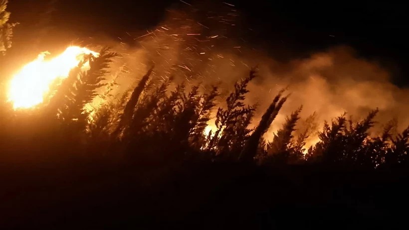 Urla'da Orman Yangını: Havadan ve Karadan Müdahale Sürüyor!