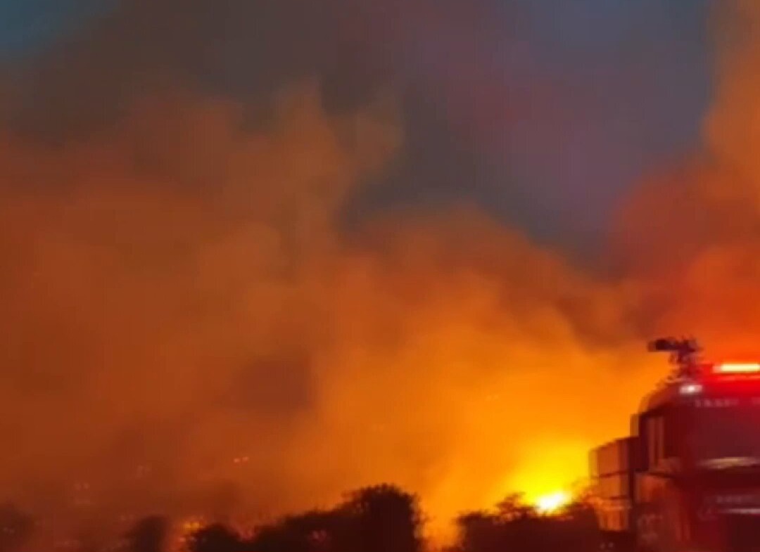 Balıkesir'de Orman Yangını Çıktı